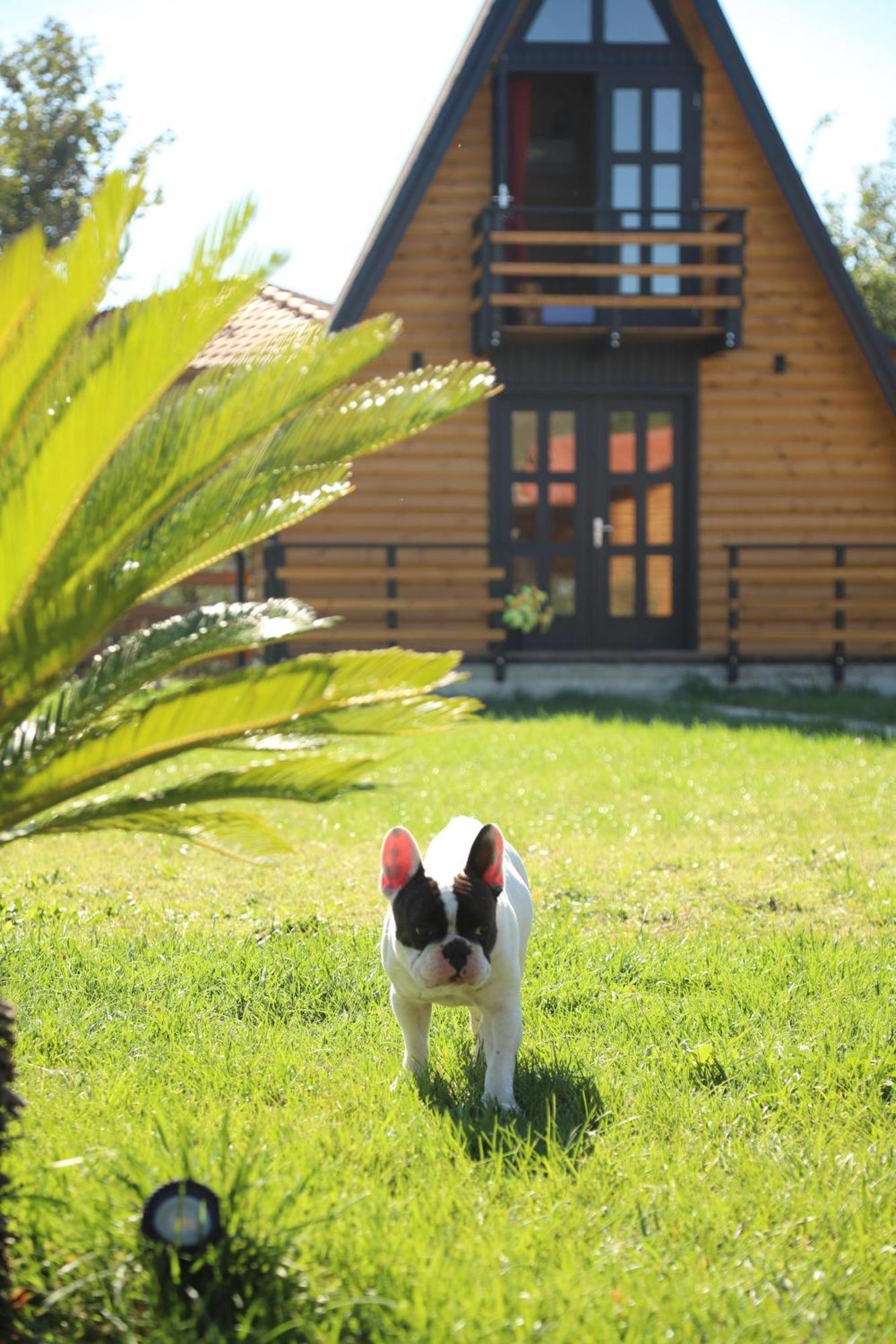 Sancho Farm Albania Villa Memaliaj Exterior foto