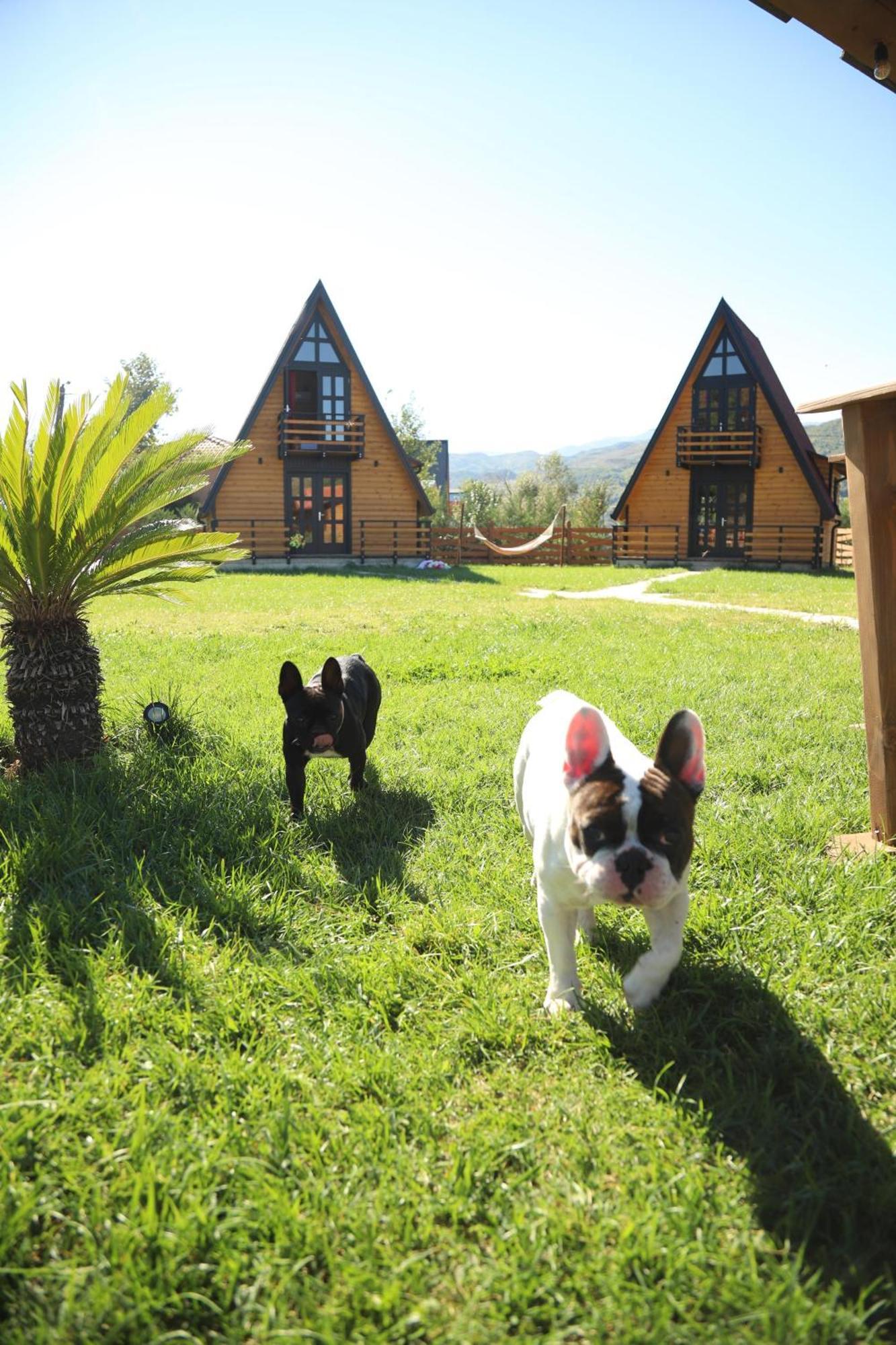 Sancho Farm Albania Villa Memaliaj Exterior foto